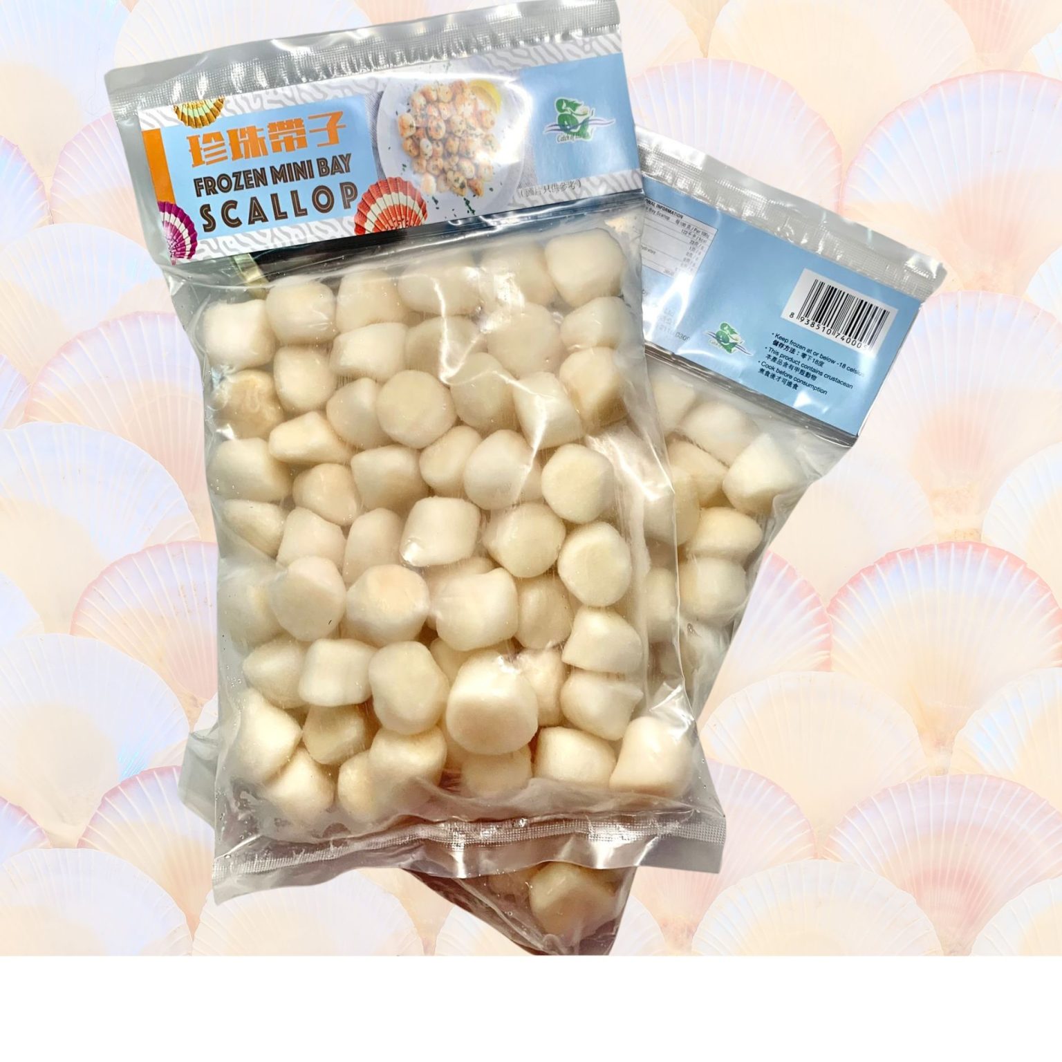 急凍珍珠帶子 60-80 – Euro Foodstuff (Hong Kong) Co., Ltd.